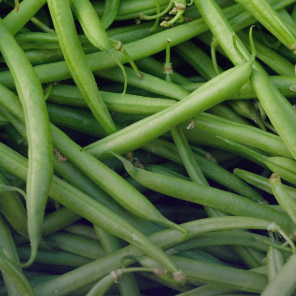 Les haricots verts guérissent-ils le diabète ? Décryptage d’une promesse de guérison.