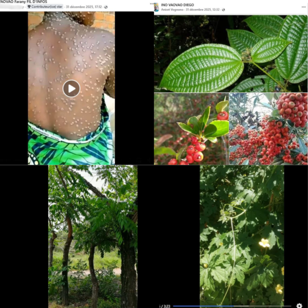 Les remèdes traditionnels guérissent-ils le Mpox ? Analyse d’affirmations relayées sur Facebook